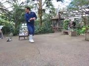 Penguin Chasing Zookeeper