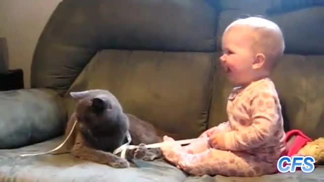 Cats Loving Babies - Animals - Videotime.com