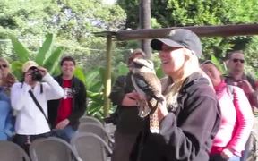 Kookaburra Call - Fun - VIDEOTIME.COM