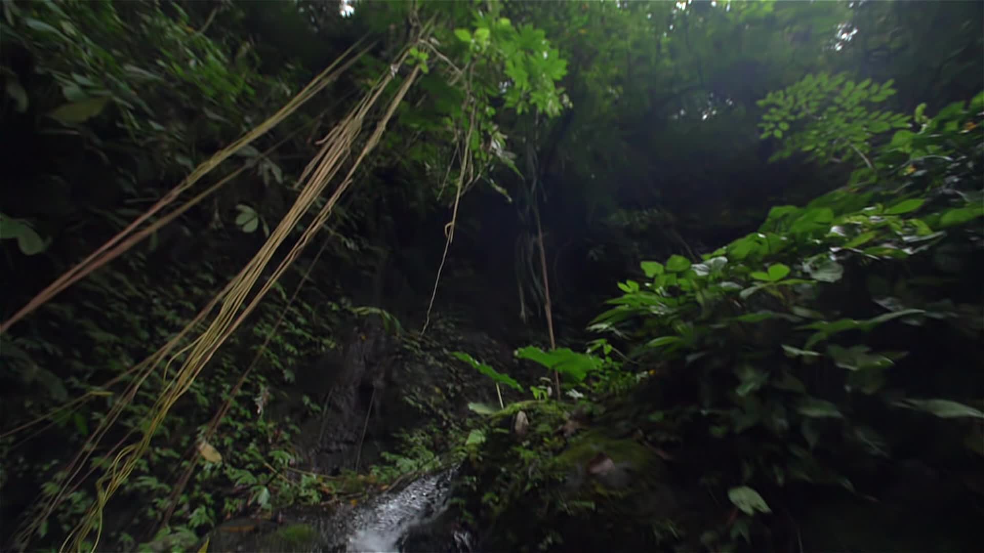 Tracking Shot of a Small Waterfall - Fun - Videotime.com
