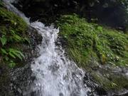 Tracking Shot of a Small Waterfall