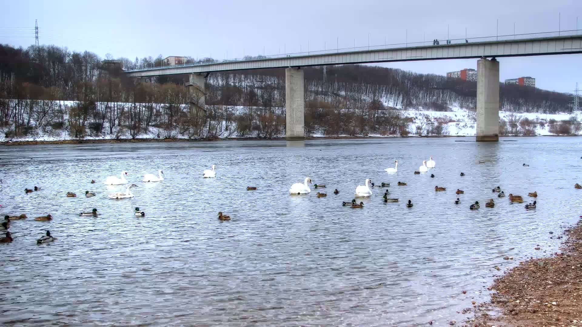 Panemune Bridge - Fun - Videotime.com