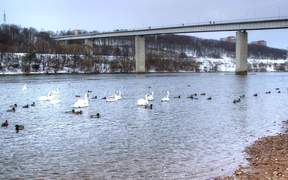 Panemune Bridge - Fun - VIDEOTIME.COM