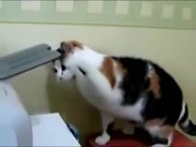 Cat Printer Repair