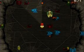 Arachnia Flash Game, Walkthrough Video - Games - VIDEOTIME.COM