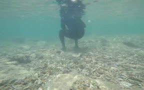 Tropical Fishes while Snorkelling in Uganzaki - Fun - VIDEOTIME.COM