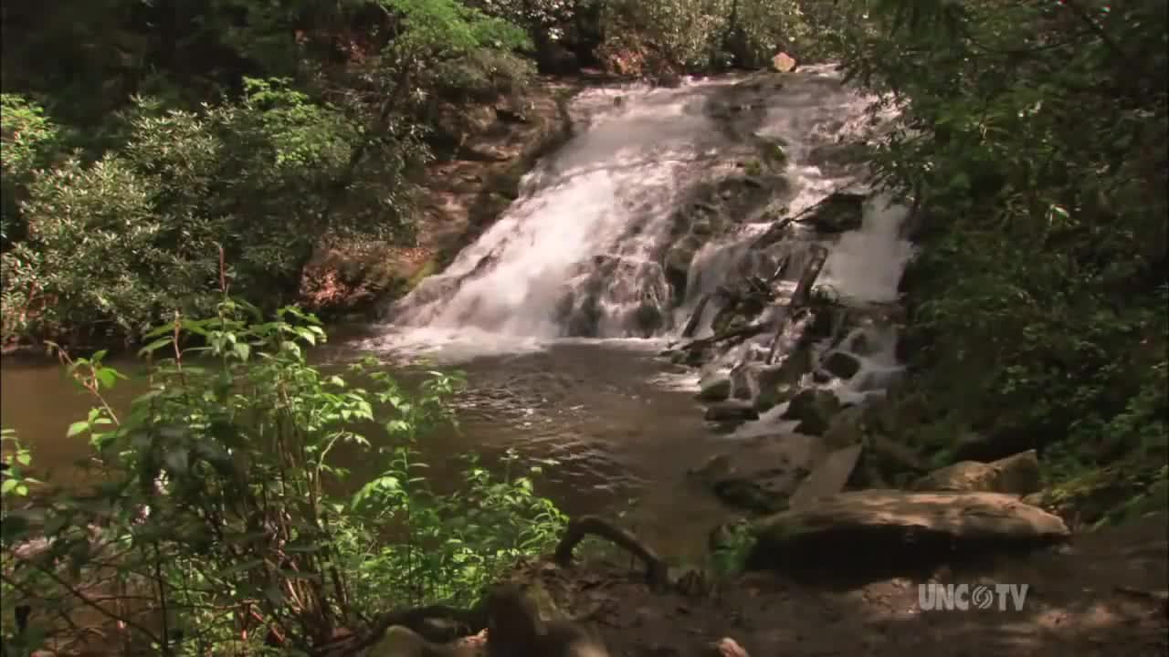 Sapphire Valley Area Waterfalls