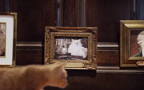 Whiskas Commercial: Kitten Kollege - Commercials - VIDEOTIME.COM