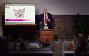 Kitten Kollege - Understanding Kitten Sounds - Commercials - VIDEOTIME.COM