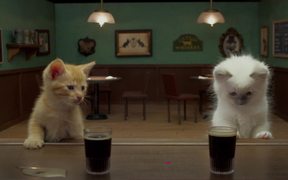 Jake O’Connor’s: A Kitten Walks into a Bar - Yarn - Commercials - VIDEOTIME.COM