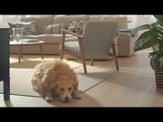 Ikea Commercial: A Fat Dog
