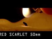 RED Scarlet vs Sony FS100 slow motion test