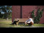 Volkswagen Commercial: A Doggy Tale