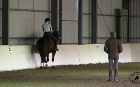 Training for Wellness with Manolo Mendez Dressage - Sports - VIDEOTIME.COM