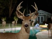 Farmers Insurance Commercial: Stag Pool Party
