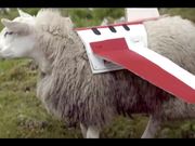 Kayak Commercial: Sheep Happens