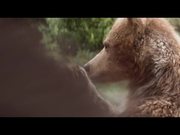 Center Parcs Commercial: Bears
