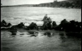 Herding Horses Across The River 1903 - Animals - VIDEOTIME.COM