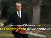 Allstate Campaign: Vote for Caleb