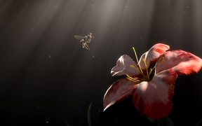 Save the Bees - Anims - VIDEOTIME.COM