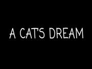 A Cat’s Dream