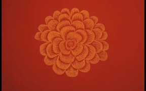 Fibonacci Flower - Anims - VIDEOTIME.COM