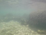 Gigantic Coral Reefs