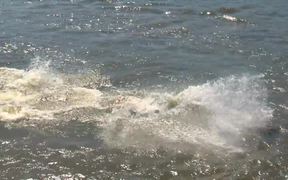 Race 3 / Vichy Freestyle Jet Acrobatique