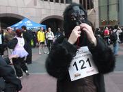 Great Gorilla Race