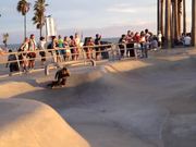 3 Year Old Kid Rides at Venice Skate Park