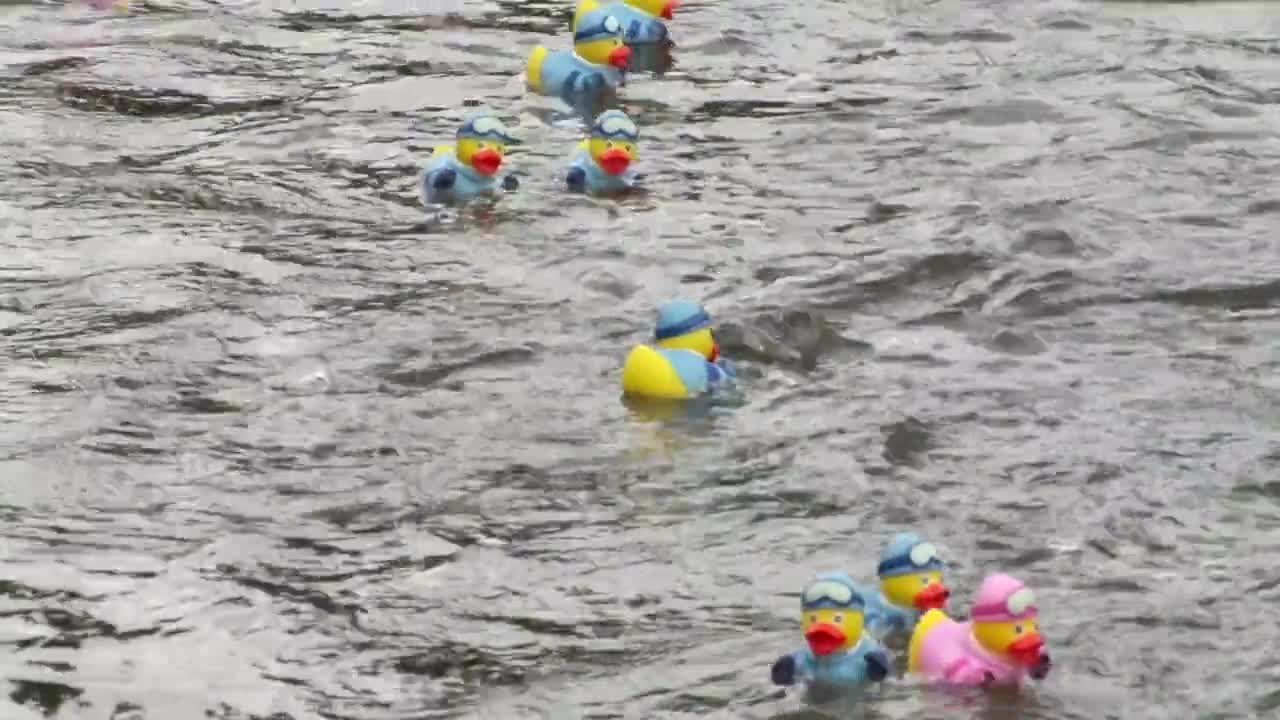 2014 Summit Foundation Duck Race