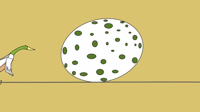 The Odd Egg” Animation Video - Watch at 