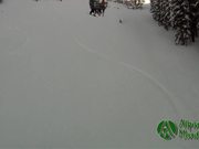 Ski Snow Mountains Winter Holiday