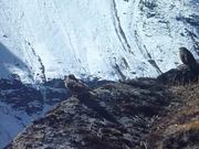 Mount Everest Marathon 2013 - One Epic Adventure