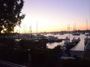 Balboa Sunset