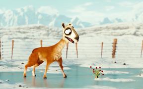 Animated Movie Caminandes Episode 3 - Anims - VIDEOTIME.COM
