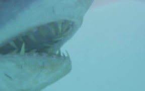Doritos Overboard - Commercials - VIDEOTIME.COM