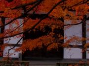 Autumn-Wonderland-Tōfuku-ji-Kyoto