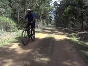 Jimna State Forest - MTB Trail Riding