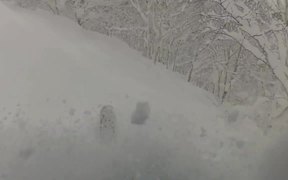 Another day in Niseko… - Tech - VIDEOTIME.COM