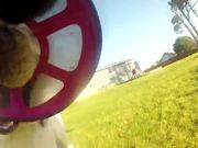 Dog Frisbee POV