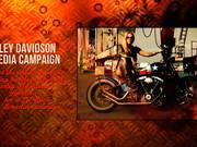 Harley Davidson Custom Bike, Hard Work
