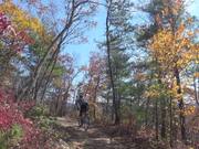The Virginia Mountain Bike Trail