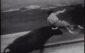Folding Of The Bulls 1960 - Fun - VIDEOTIME.COM