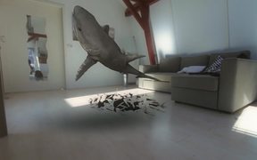 Pet Shark - Animals - VIDEOTIME.COM