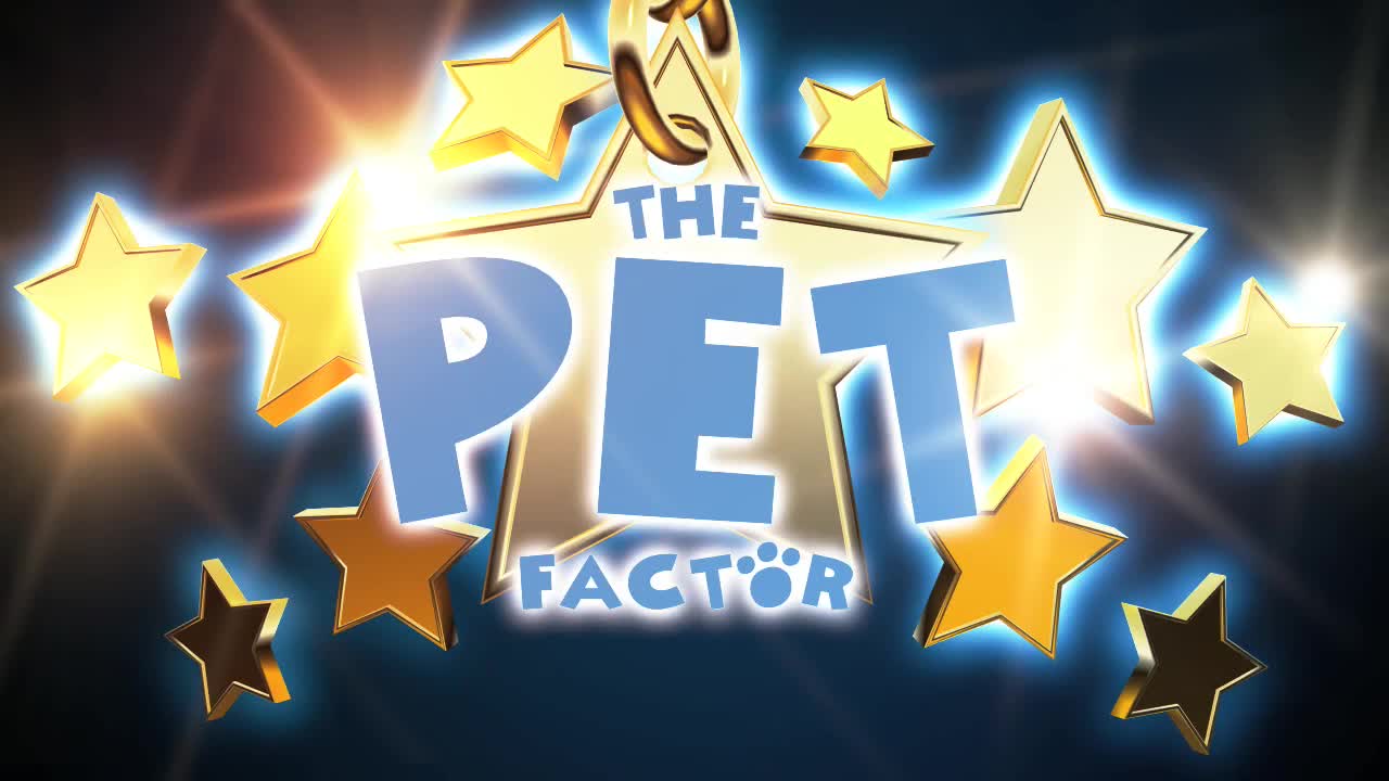 The Pet Factor - Hamster
