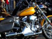 “We Love Harley Davidson”