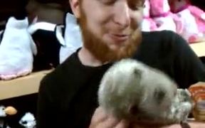 Johnny’s New Pet Seal - Animals - VIDEOTIME.COM