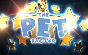 The Pet Factor Cat - Animals - VIDEOTIME.COM