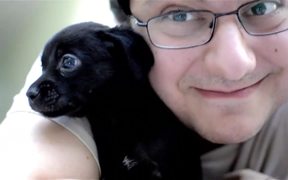 Mini Dogs Attack - Animals - Videotime.com